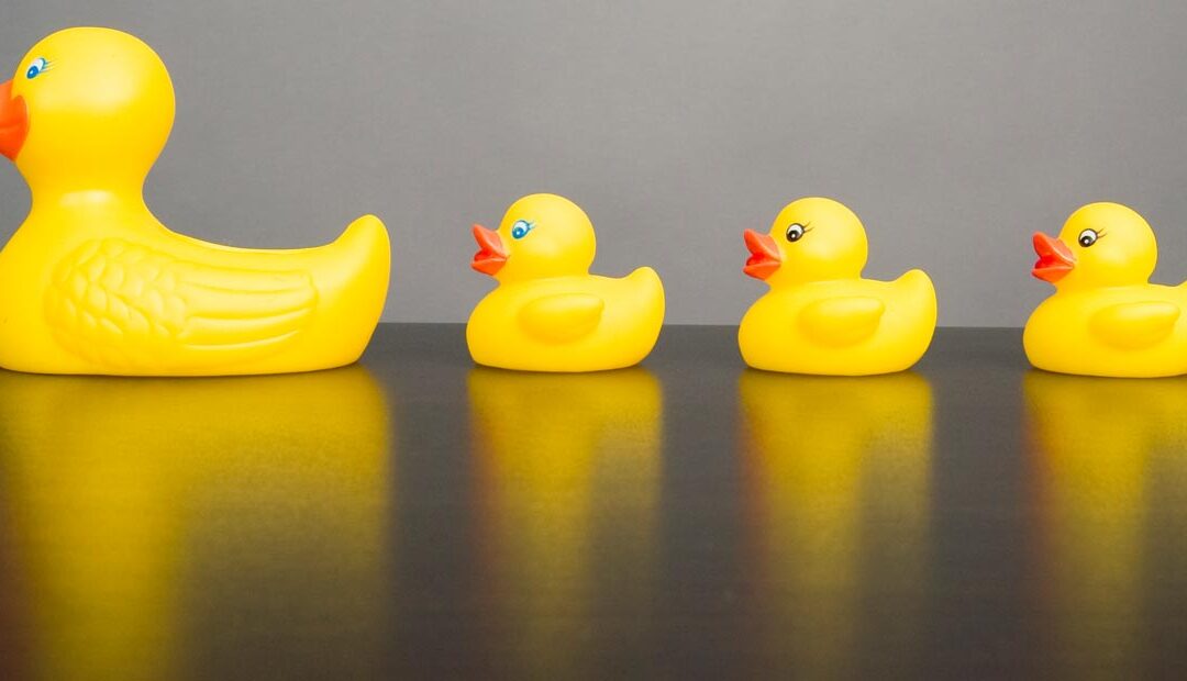 Physician Relations: Are Your Internal Ducks in a Row?