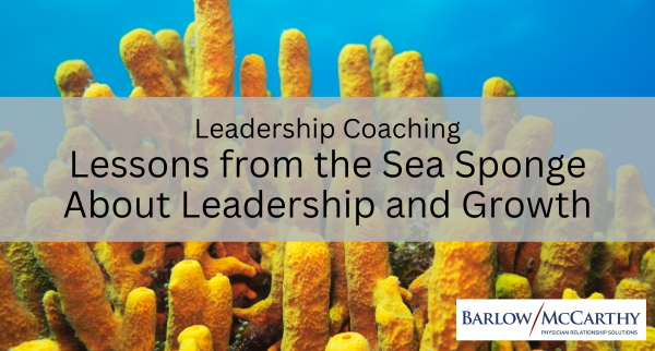 Lessons from the Sea Sponge About Leadership and Growth